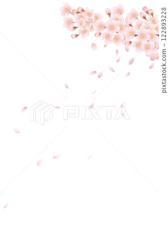 Cherry tree _ 02 122893228