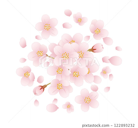 櫻花_ 06 122893232