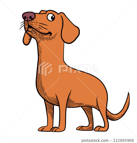 Cartoon Dachshund with Long Neck and Playful Expression Cartoon Dachshund with Long Neck and Playful Expression 122893908