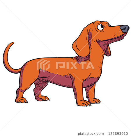 Cartoon Dachshund with Curious Expression in Vintage Style 122893910