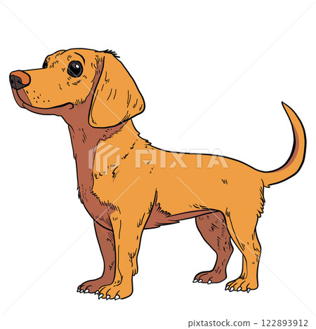 Cartoon Dachshund with Detailed Vintage Illustration Style 122893912