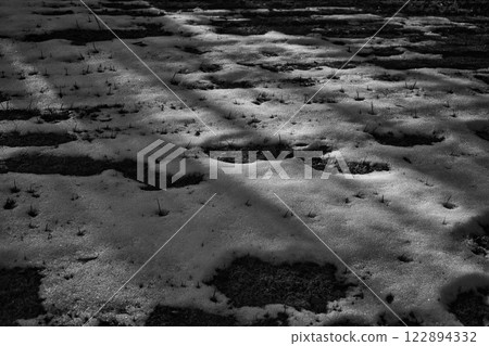 The first ice of the season is artistic at the Municipal Museum of Art 122894332