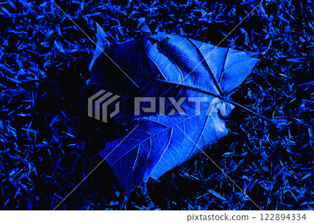 市立藝術博物館本季的第一塊冰是藝術的 市立藝術博物館本季的第一塊冰是藝術的 122894334