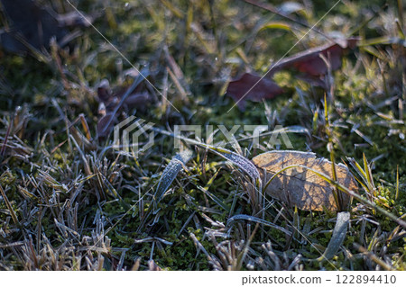 The first ice of the season is artistic at the Municipal Museum of Art 122894410