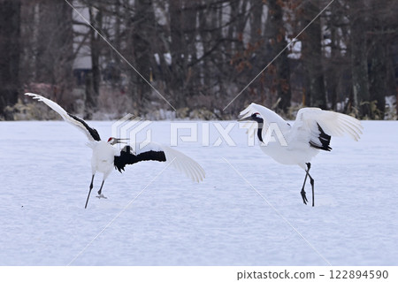 日本鶴舞 122894590