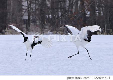 日本鶴舞 122894591