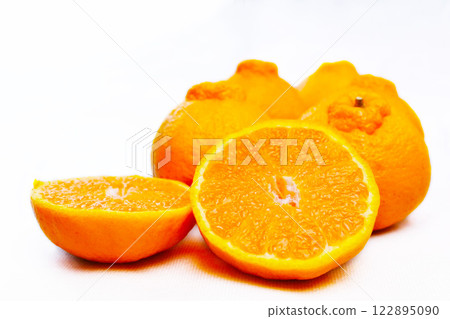 凸頂柑 凸頂柑 122895090