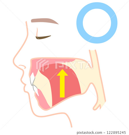 How to mew properly: correct and incorrect tongue position 122895245
