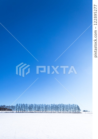 The open, blue sky of the Tokachi Plain The open, blue sky of the Tokachi Plain 122895277