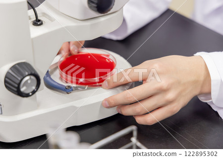 Laboratory development laboratory clinical examination biotechnology new drug Laboratory development laboratory clinical examination biotechnology new drug 122895302