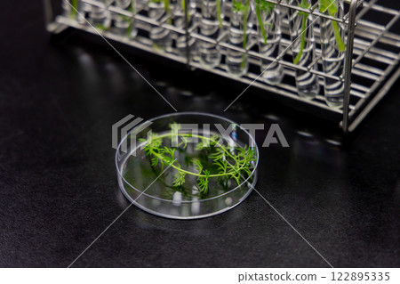Research Laboratory Development Laboratory Clinical Testing Biotechnology 122895335