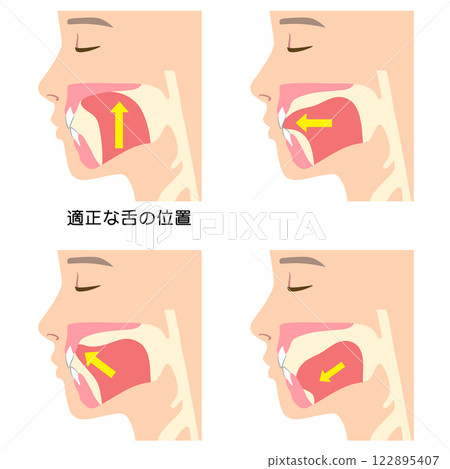 How to mew properly: correct and incorrect tongue position 122895407