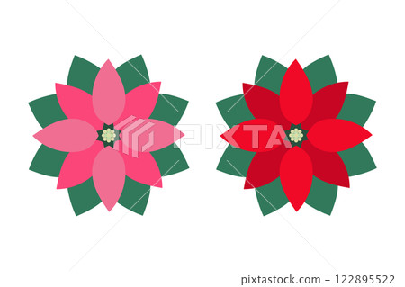 Illustration of poinsettia Illustration of poinsettia 122895522