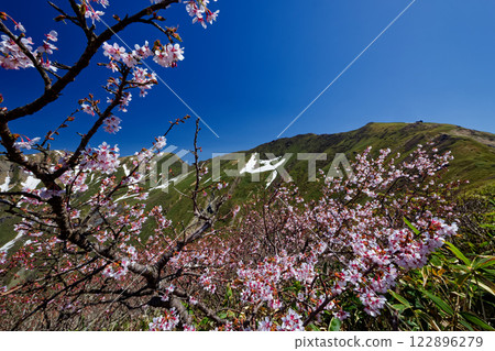 從上越境行道望去的谷川山頂,峰櫻盛開 從上越境行道望去的谷川山頂,峰櫻盛開 122896279