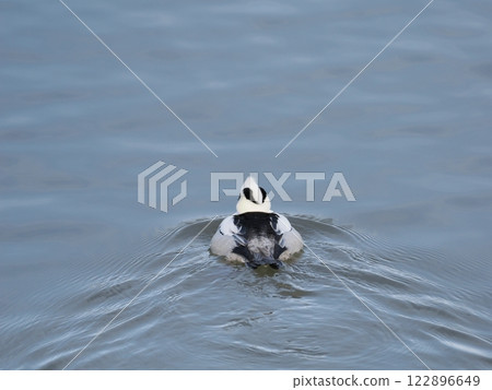 Back view of Miko Aisa 122896649