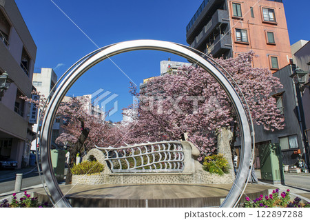 Atami City, Shizuoka Prefecture, Atami Sakura, Itokawa Promenade, Early February 122897288