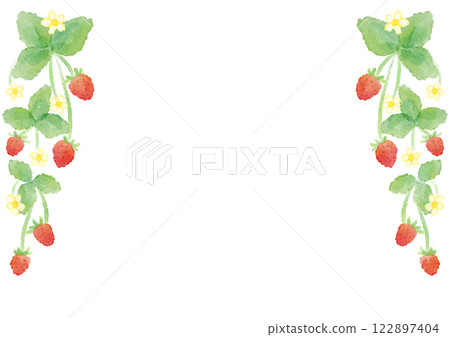 Watercolor illustration of strawberry flowers and fruits Watercolor illustration of strawberry flowers and fruits 122897404