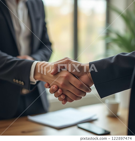 Business professionals shake hands to finalize an agreement in a bright, modern office setting 122897474