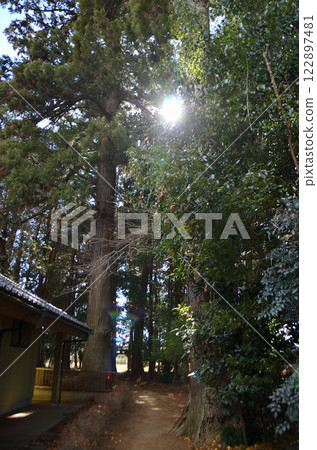 位於埼玉縣比企郡滑川町月輪的能量景點月輪神社 122897481