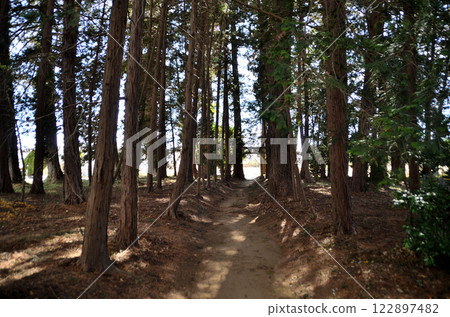 位於埼玉縣比企郡滑川町月輪的能量景點月輪神社 122897482