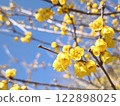 Wax plumbing in the blue sky 122898025