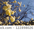 Wax plumbing in the blue sky 122898026