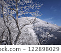 Wood covered trees 122898029