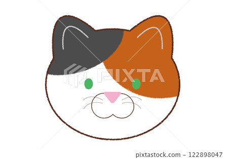 綠眼睛的三色貓臉 122898047