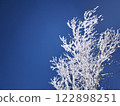 Snow-covered trees and blue sky 122898251