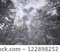 Snow-covered trees 122898252