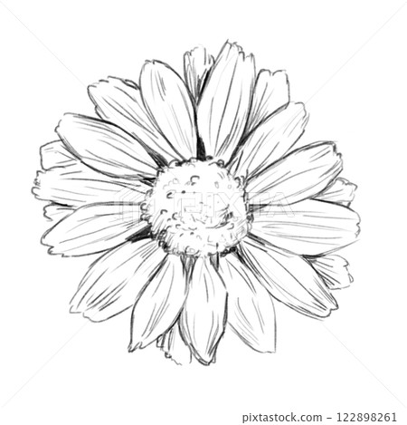 Black and White Illustration with Head Flower Daisy Decorative, Sketch Clip Art for Print, Fabric, Web and Textile 122898261