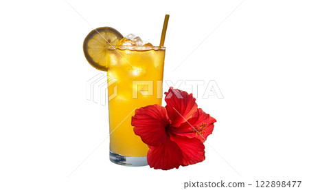 盛夏、熱帶主題冷飲與芙蓉 盛夏、熱帶主題冷飲與芙蓉 122898477