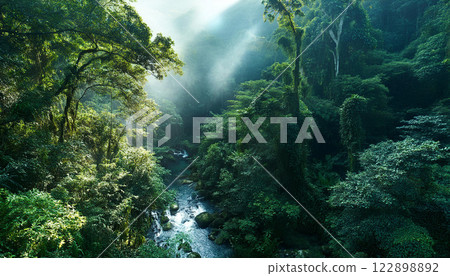 A lush green forest with a river running through it 122898892