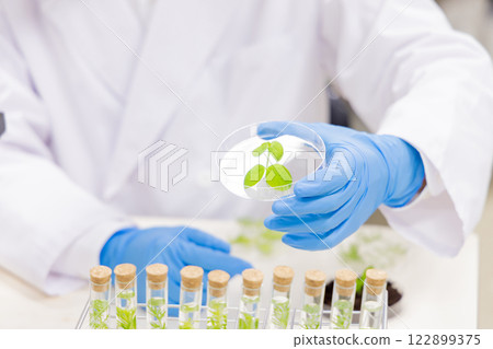 Laboratory development laboratory clinical examination biotechnology new drug 122899375