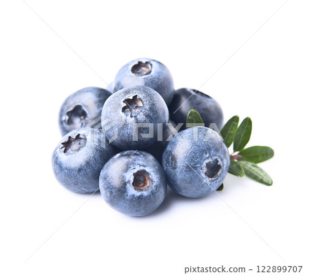 Blueberry with twig on white backgrounds 122899707