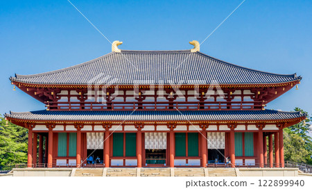 Foreground of the Chukondo Hall of Kofukuji Temple, Nara 122899940