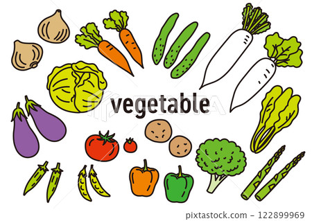 各種蔬菜的簡單而流行的彩色插圖 各種蔬菜的簡單而流行的彩色插圖 122899969