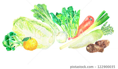 各種冬季蔬菜的水彩插圖 各種冬季蔬菜的水彩插圖 122900035