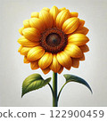sunflower	 122900459