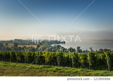 View to Lake Constance, autumn atmosphere with wafts of fog, Germany 122900866