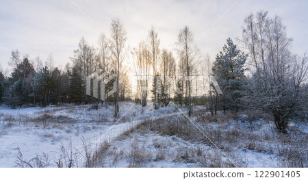 Sunrise in the early winter morning at the intersection of forest roads Sunrise in the early winter morning at the intersection of forest roads 122901405