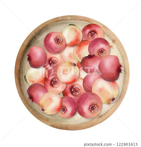 Cranberry lingonberry heap on ceramic plate, hand drawn in watercolor, ripe red forest berry bearberry teaberry wintergreen. Isolated illustration for restaurant menu, farmers market, home preserves Cranberry lingonberry heap on ceramic plate, hand drawn in watercolor, ripe red forest berry bearberry teaberry wintergreen. Isolated illustration for restaurant menu, farmers market, home preserves 122901613
