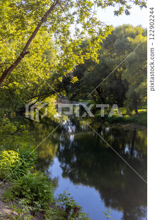 Picturesque forest landscape with trees and river on sunny summer afternoon. Beauty in nature 122902244