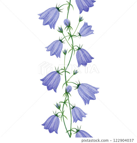 Blue campanula bellflowers elegant seamless border element. Hand drawn vintage style watercolor illustration. Elegant summer meadow bluebell flowers seamless border decoration on white background Blue campanula bellflowers elegant seamless border element. Hand drawn vintage style watercolor illustration. Elegant summer meadow bluebell flowers seamless border decoration on white background 122904037