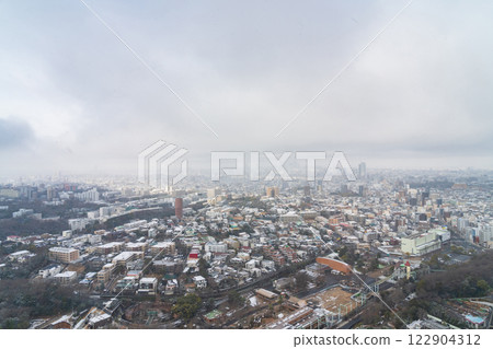 Snowy Nagoya city, view from Higashiyama Sky Tower (Nagoya, Aichi Prefecture) 122904312