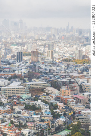 從東山天空塔俯瞰白雪皚皚的名古屋市（愛知縣名古屋市） 122904322