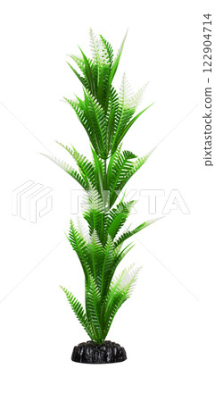 Aquarium seaweed on a white background 122904714