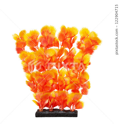 Aquarium seaweed on a white background 122904715