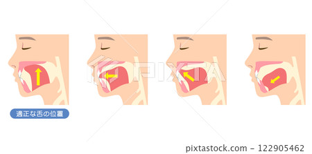 How to mew properly: correct and incorrect tongue position 122905462