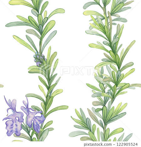 Seamless pattern of blooming rosemary branches. Watercolor botanical illustration. Fresh green stems suitable for decorating fabrics, kitchen design, packaging natural products Seamless pattern of blooming rosemary branches. Watercolor botanical illustration. Fresh green stems suitable for decorating fabrics, kitchen design, packaging natural products 122905524